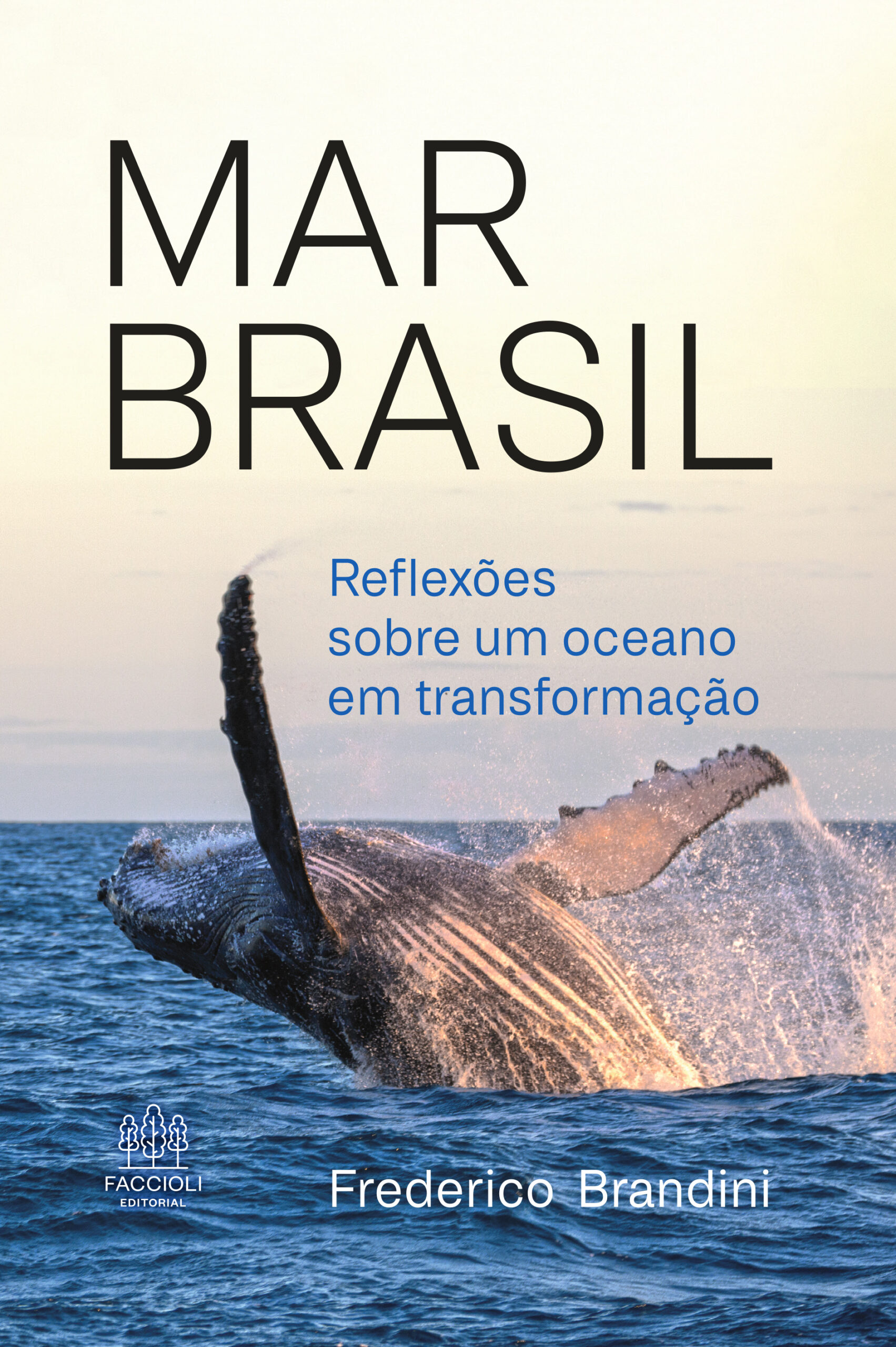 Mar Brasil