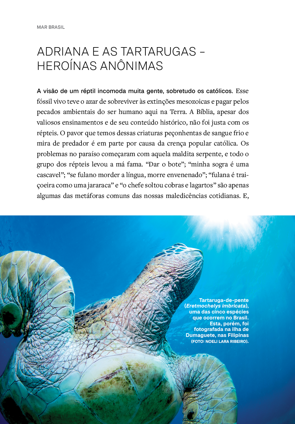 R_FINAL_234_Mar Brasil